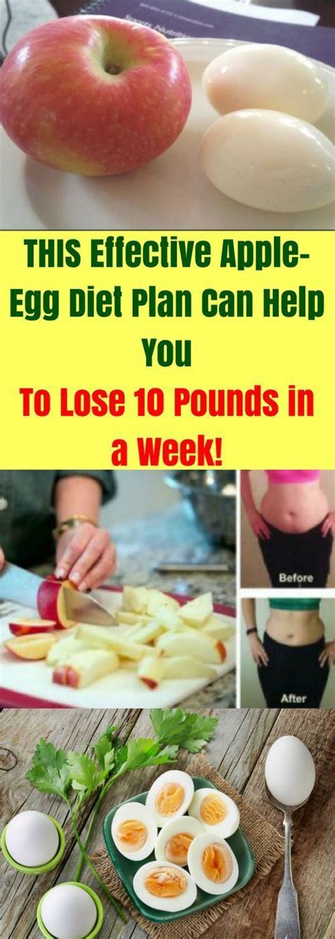 What Is the Egg Diet, and Can It Help You Lose .
